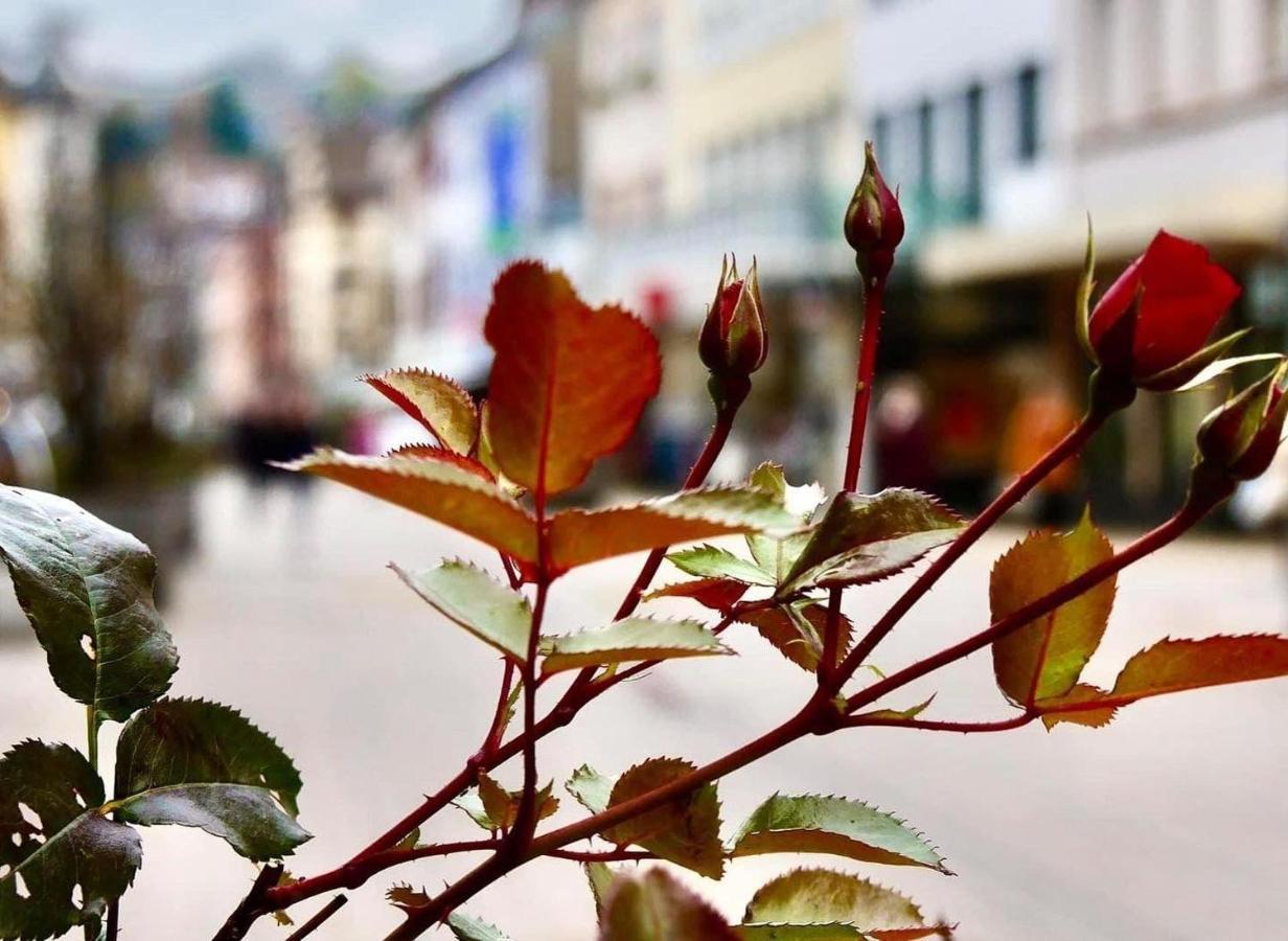 Das-Lagerhaus-Kleine-Oase Appartement Zweibrücken Buitenkant foto